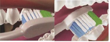 Brushing instructions